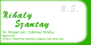 mihaly szantay business card